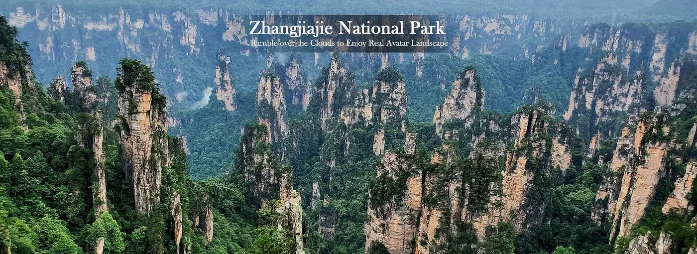 National Forest Park